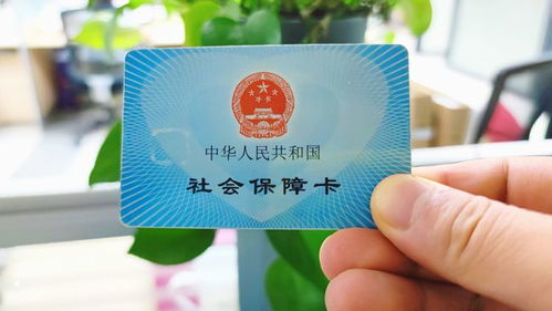 医保卡个人信息界面