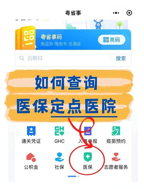 医保APP查询界面